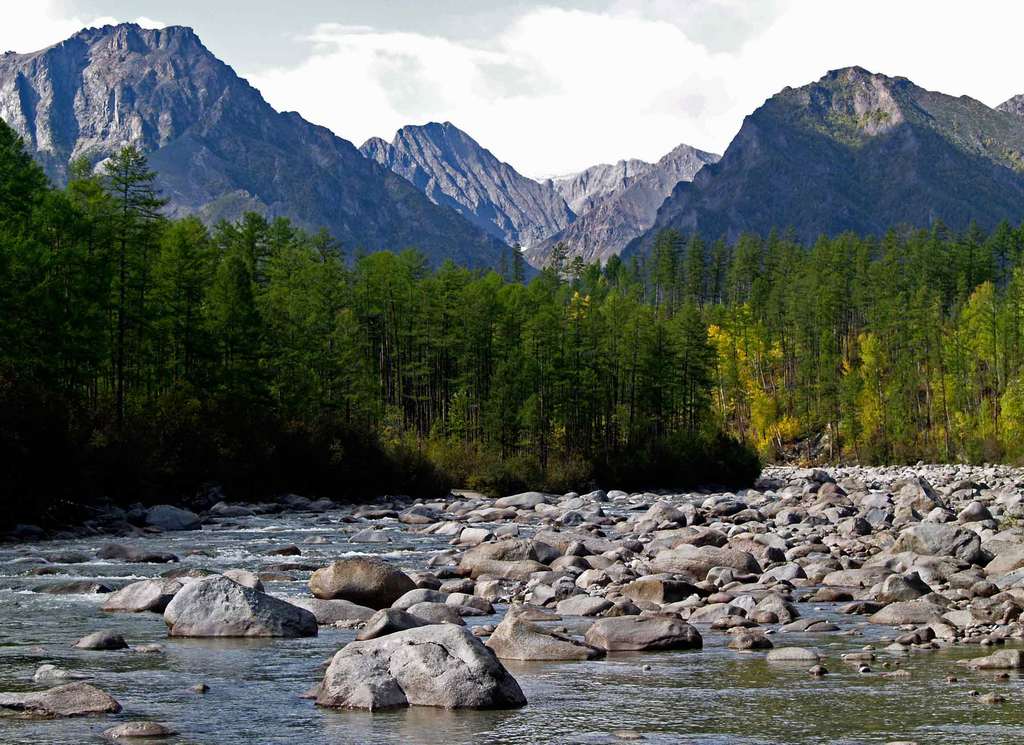 ������� �������, ���� � ������