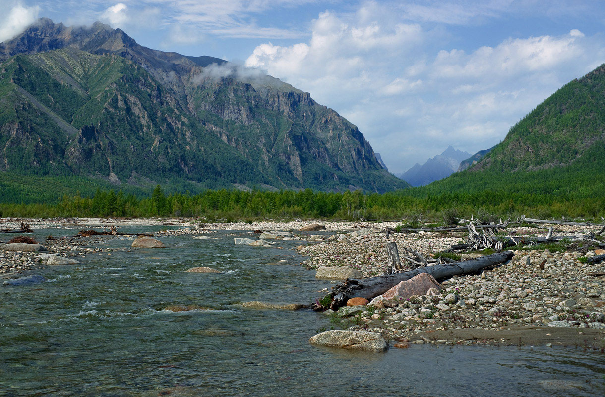 ������ �������� ����� �����