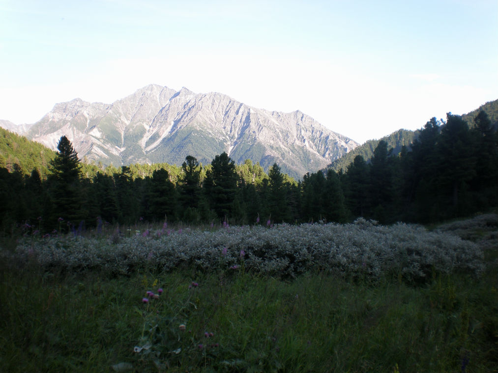 �� ������