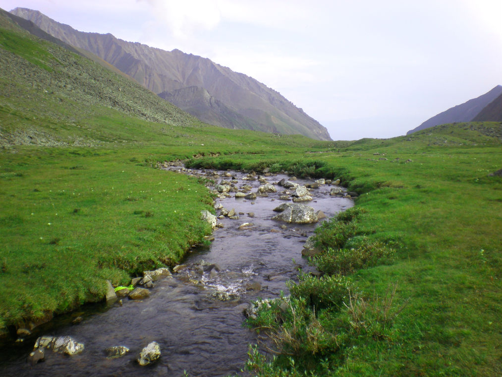 ����� ������ ���-���