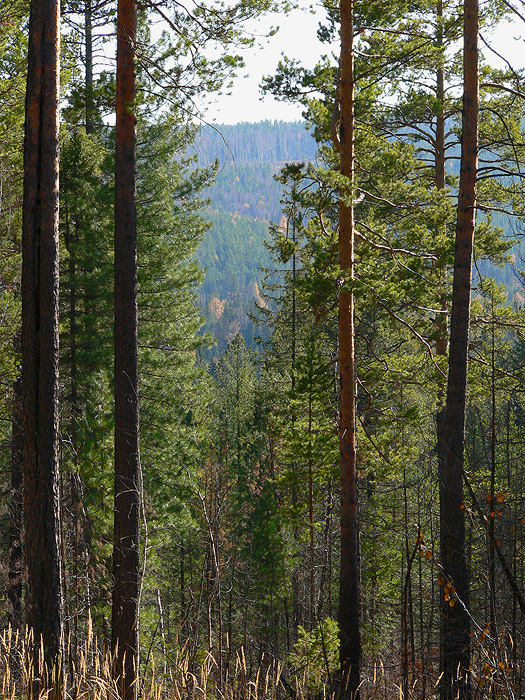 ������ � ����