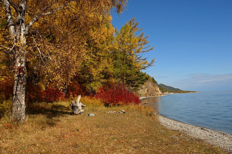 ������ �����...