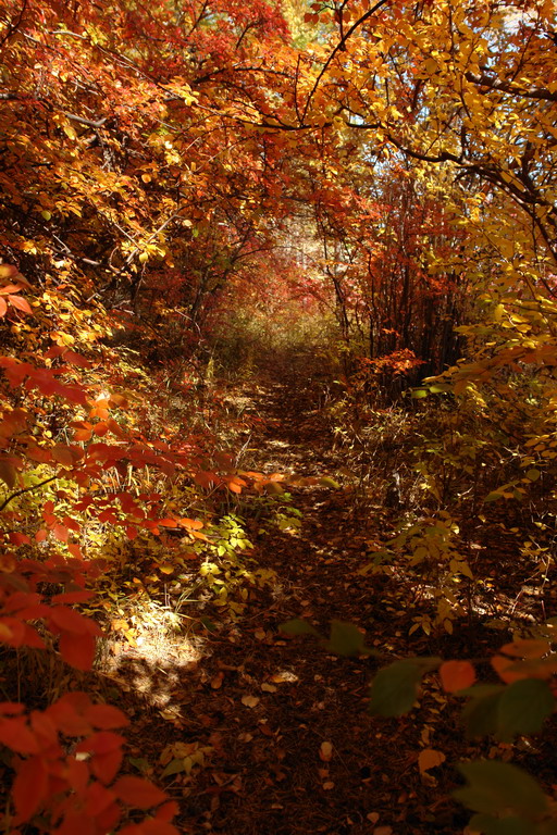 ������� �����.