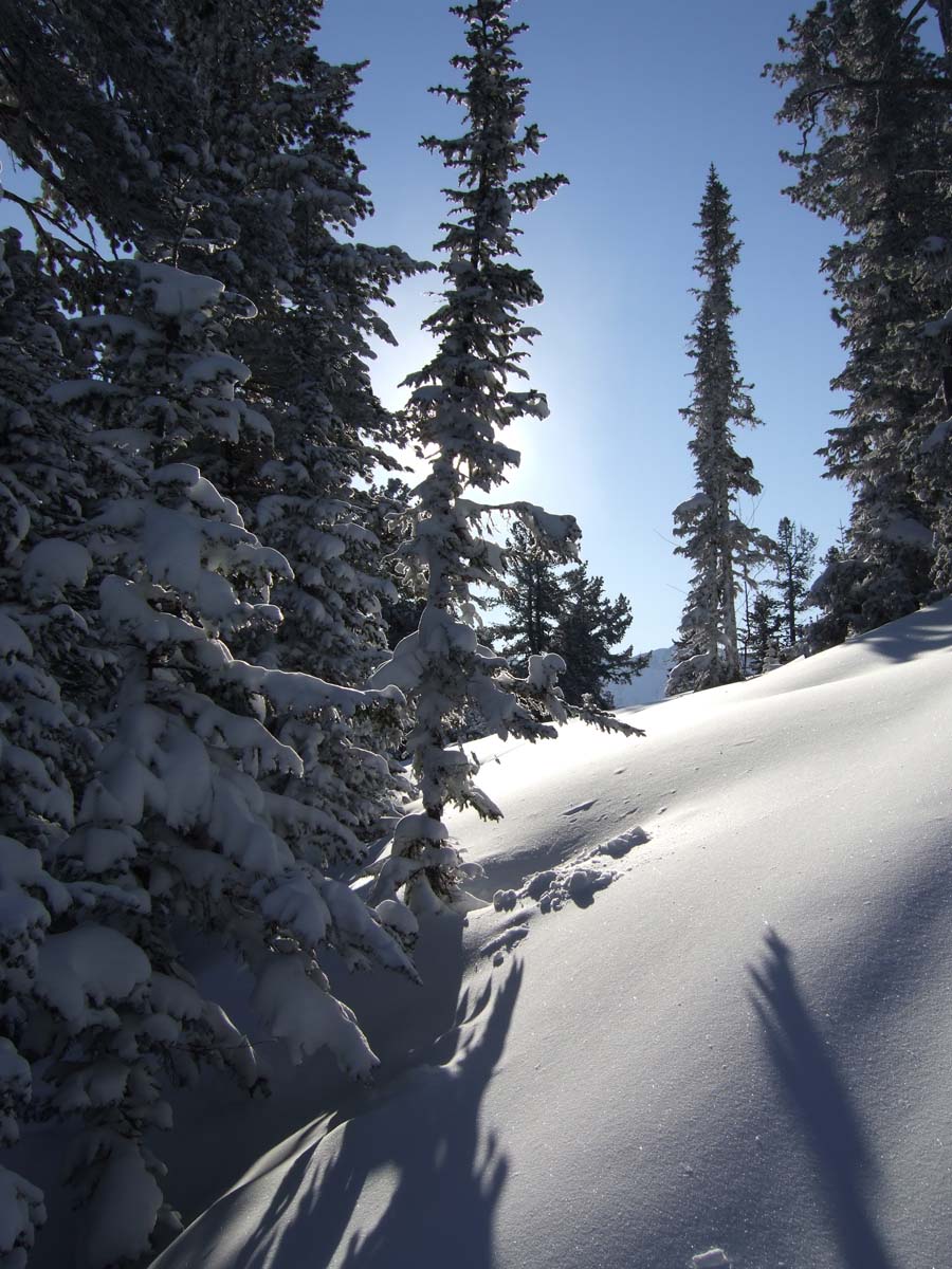 ������ �������