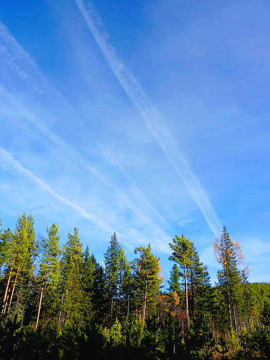 ������������ � ����