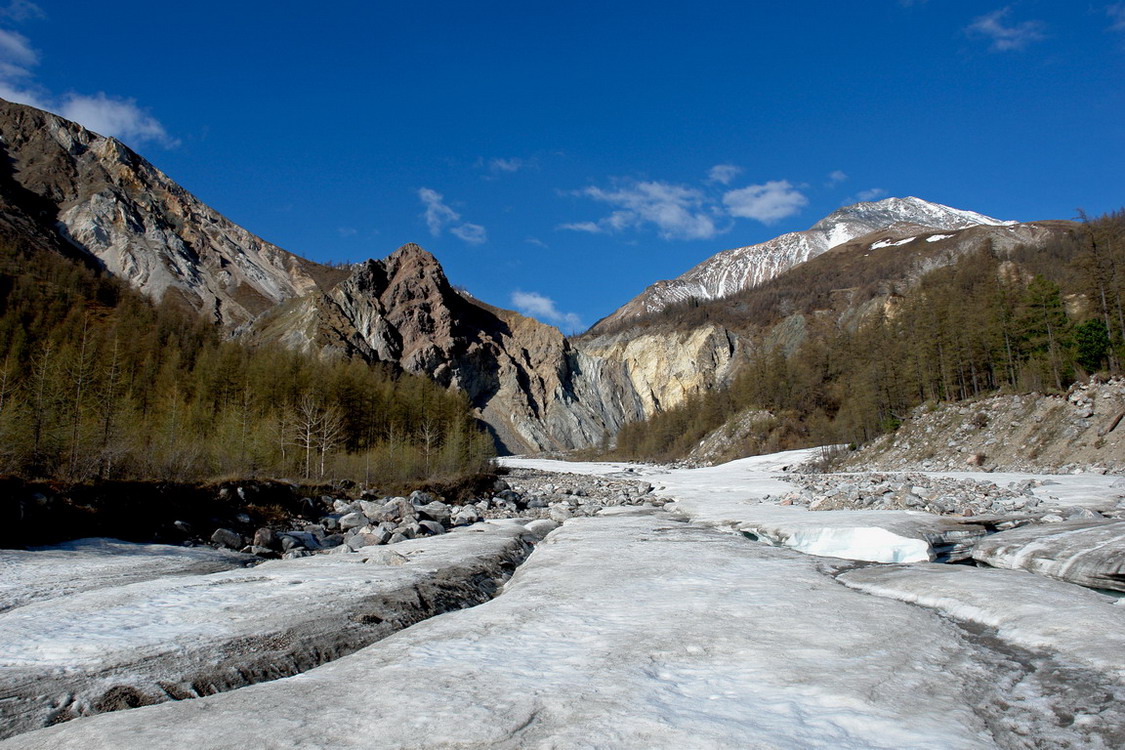 �� ������ ������.