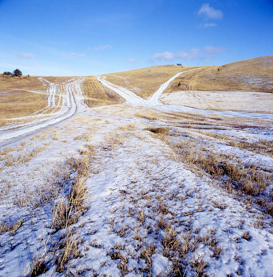 ���������� ���� �����