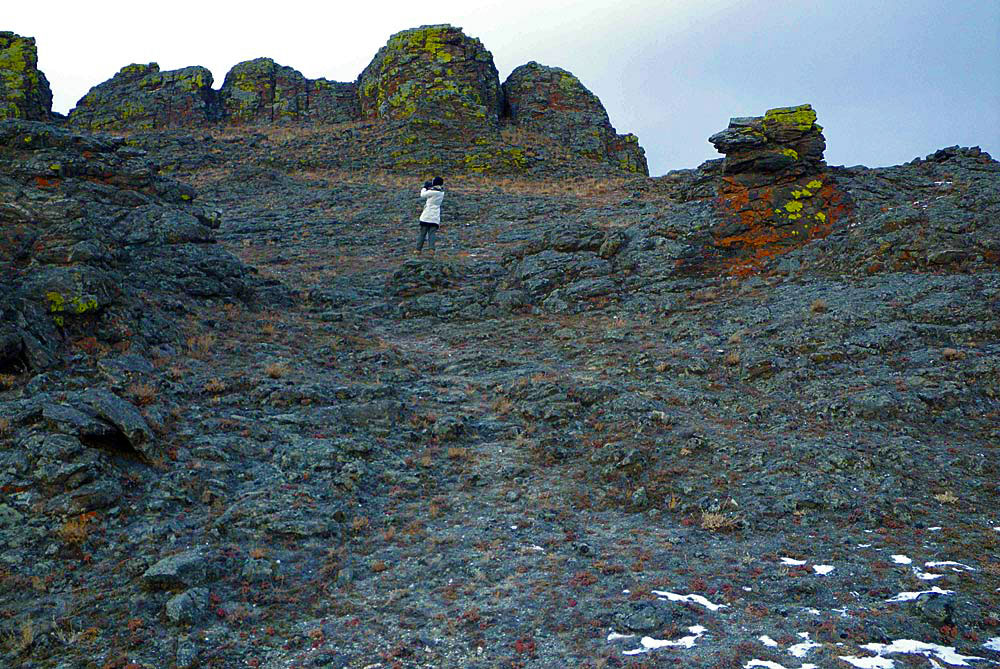 � �������� �����