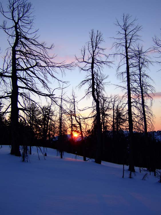 � ����� ������������