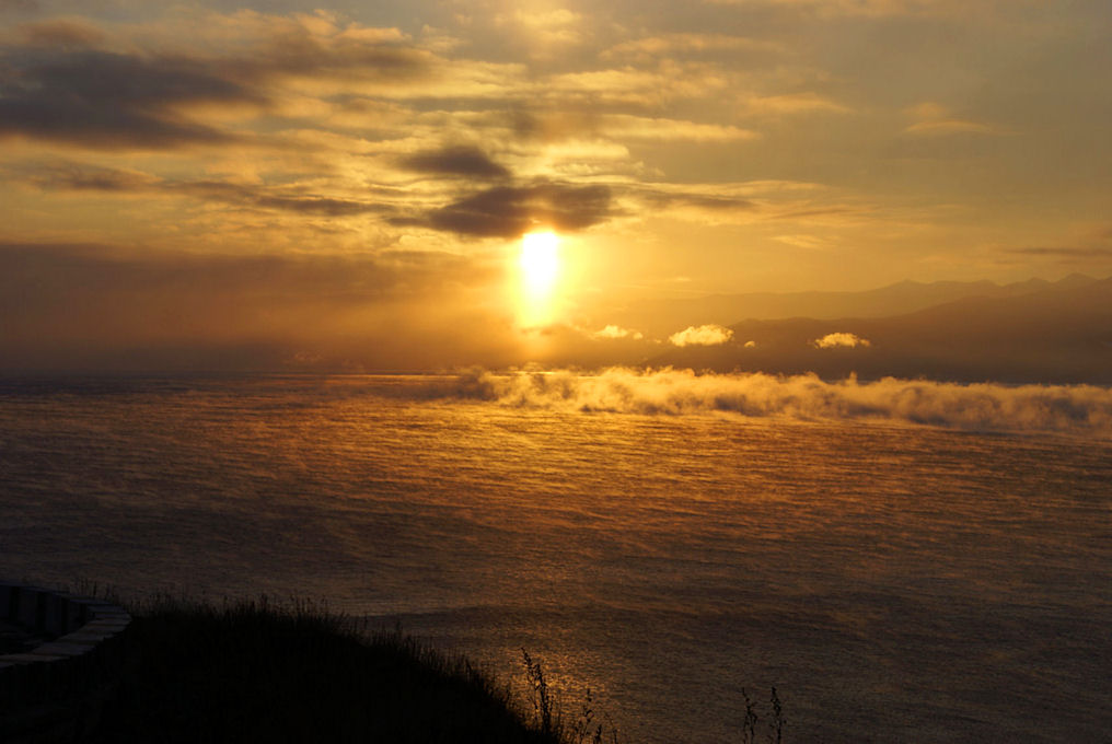 ������ �������