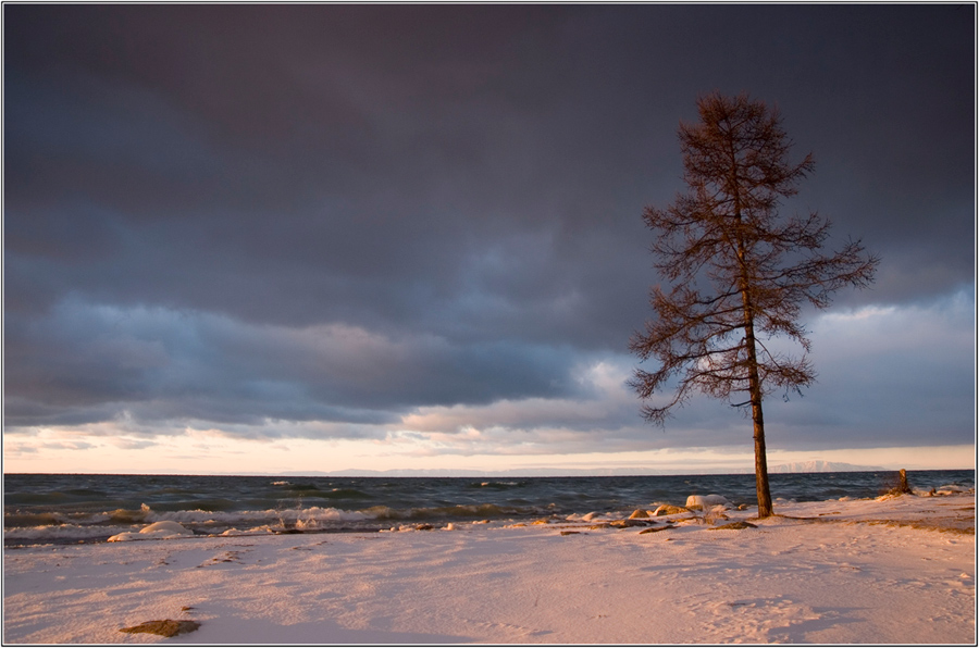 ������ ����� 