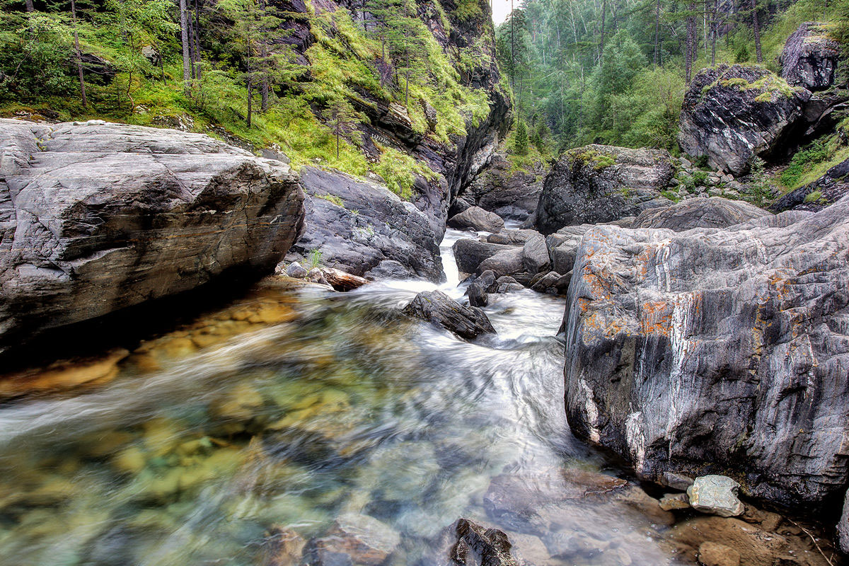 ������ ������ ���� ������� ���������