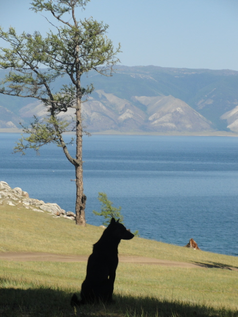 ���������� ��������