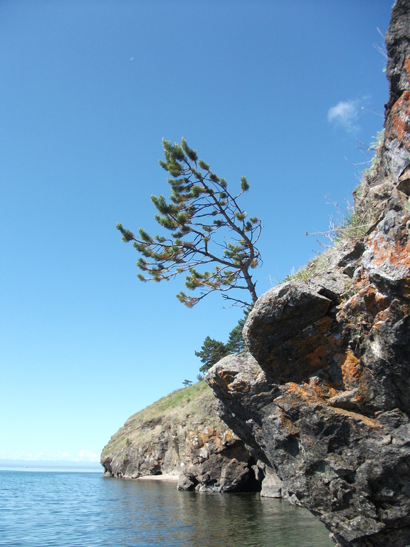 ����� �������� ������ � ������