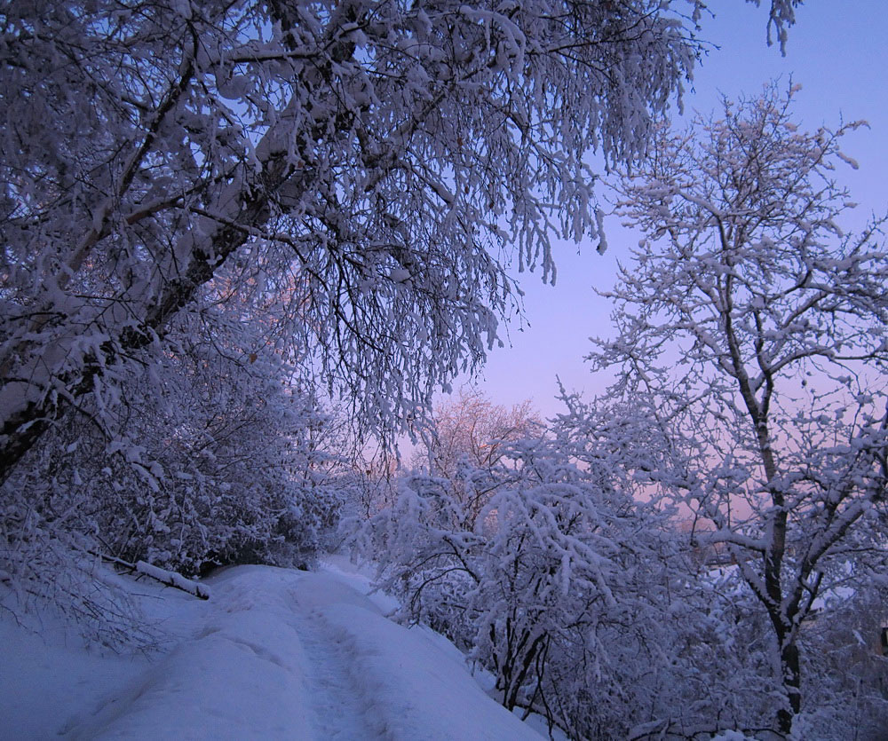 ������ �������, ������ ������...