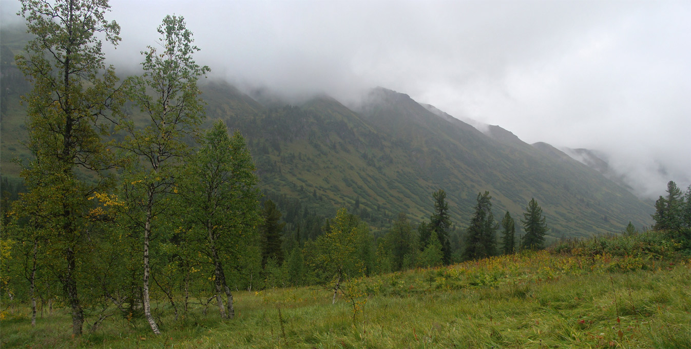 Хребет.