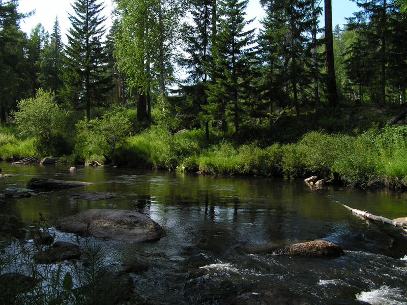 ���� � ������