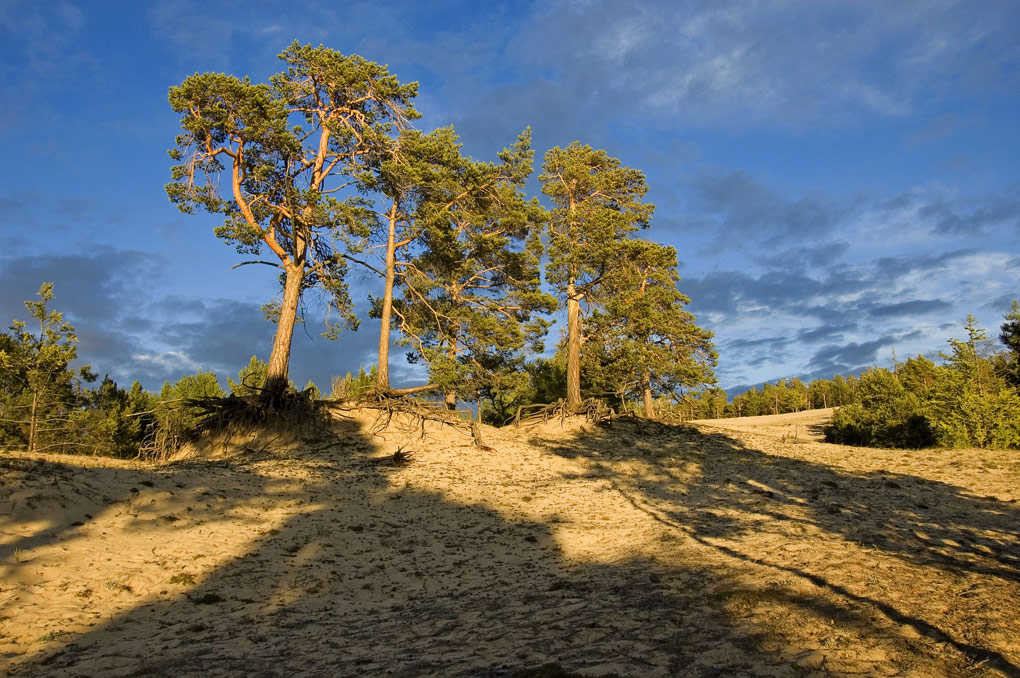 ����� � ����� �������