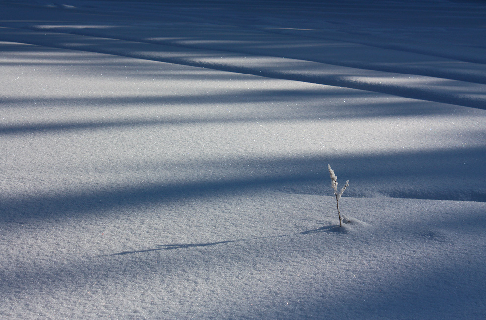 ������� ����.