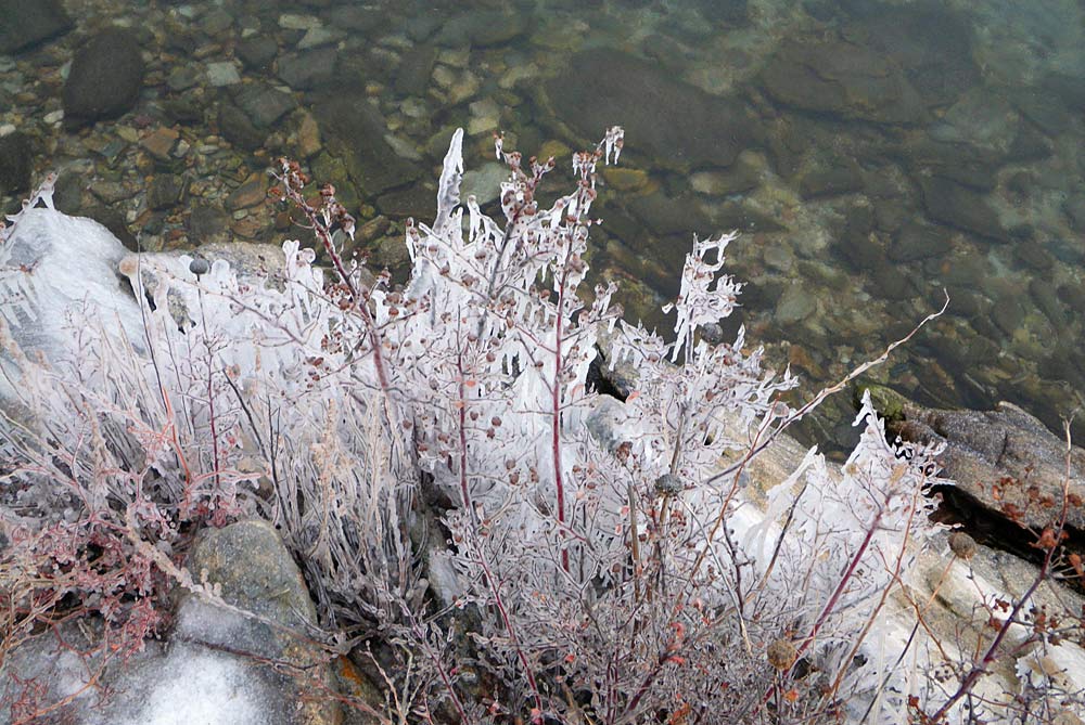 ������� �������