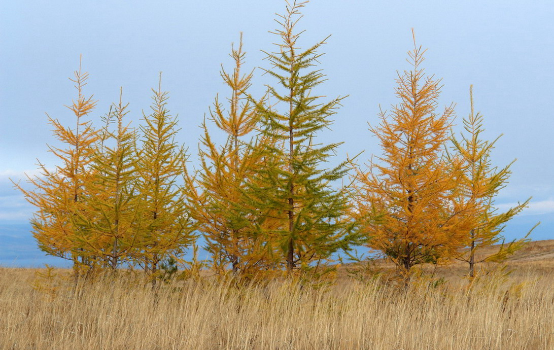 ���������.