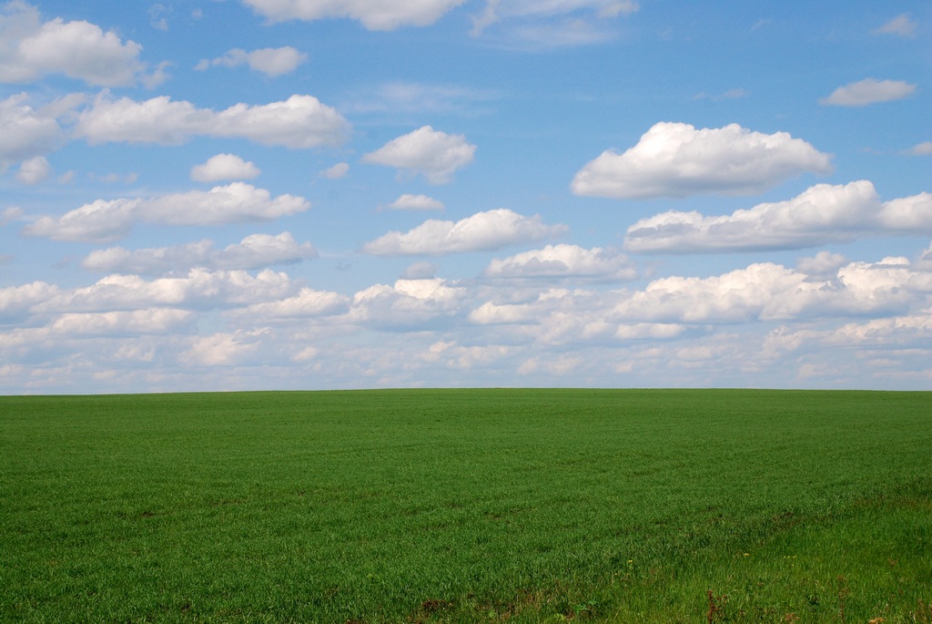 ����������� ����� �����������...