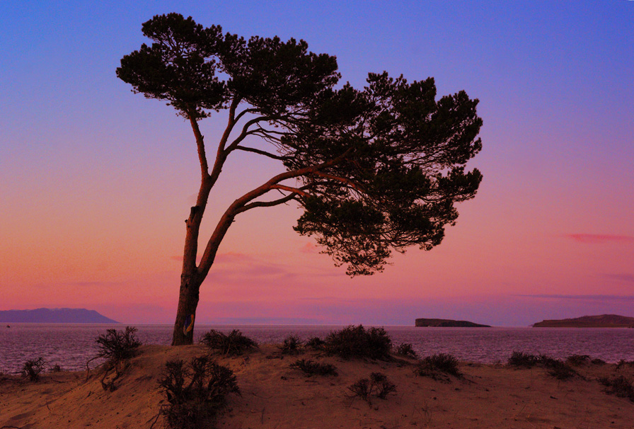 ������ ���������