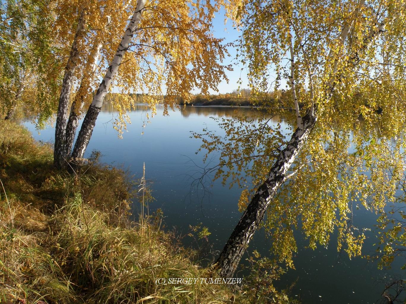 Золотая Осень, сентябрь на реке Ока...