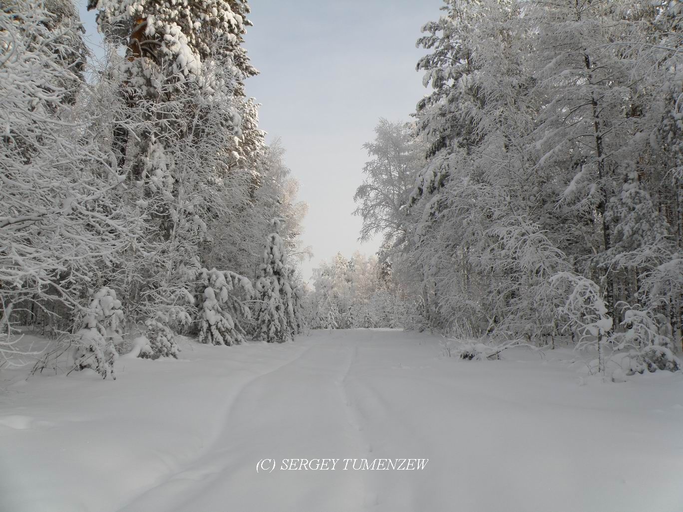 ���� 2012 �������� �� �. ����