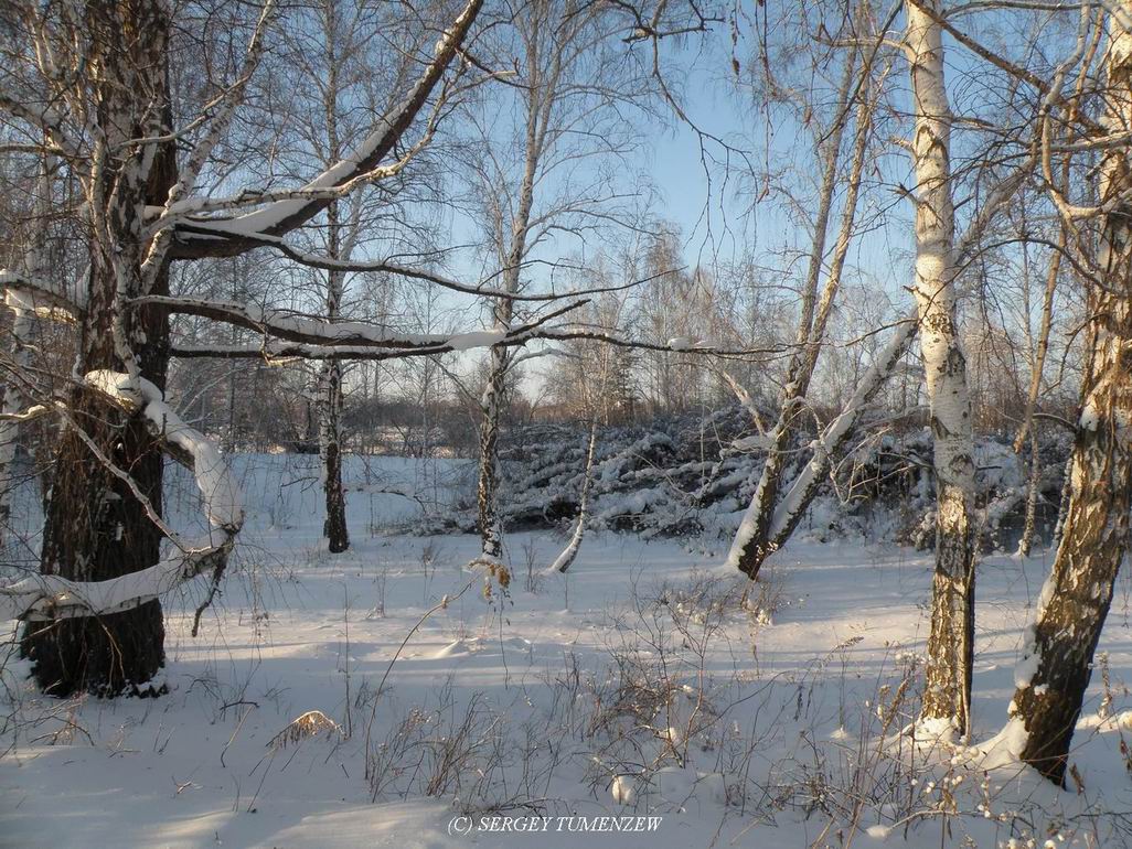 ������ 2010 �������� �� �. ����