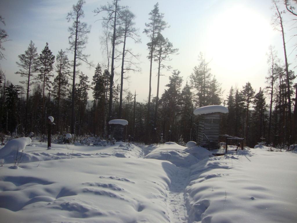 ���� �� ������� �������� �����