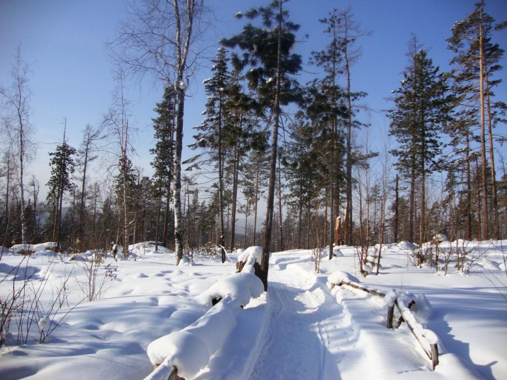 ����� � ������