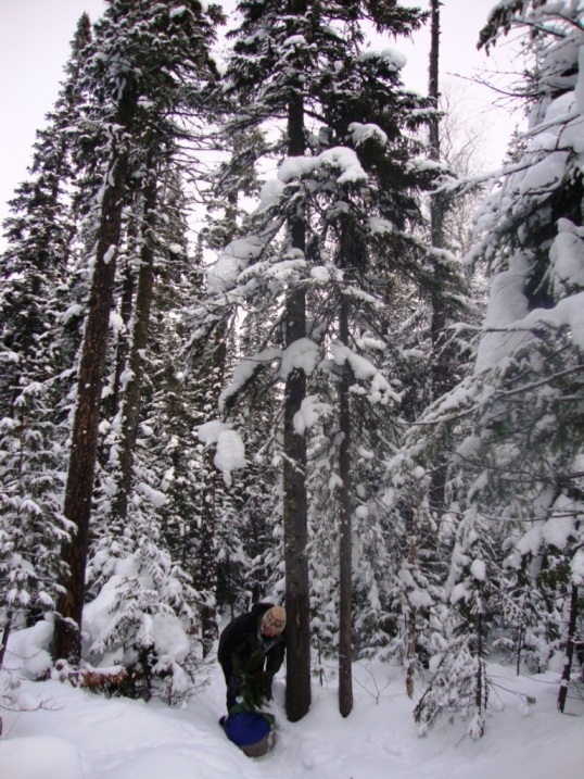 � ������