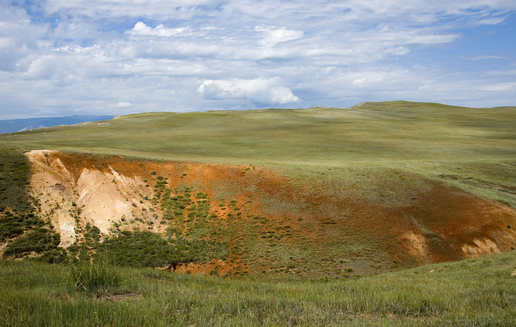 ����� ������ ������