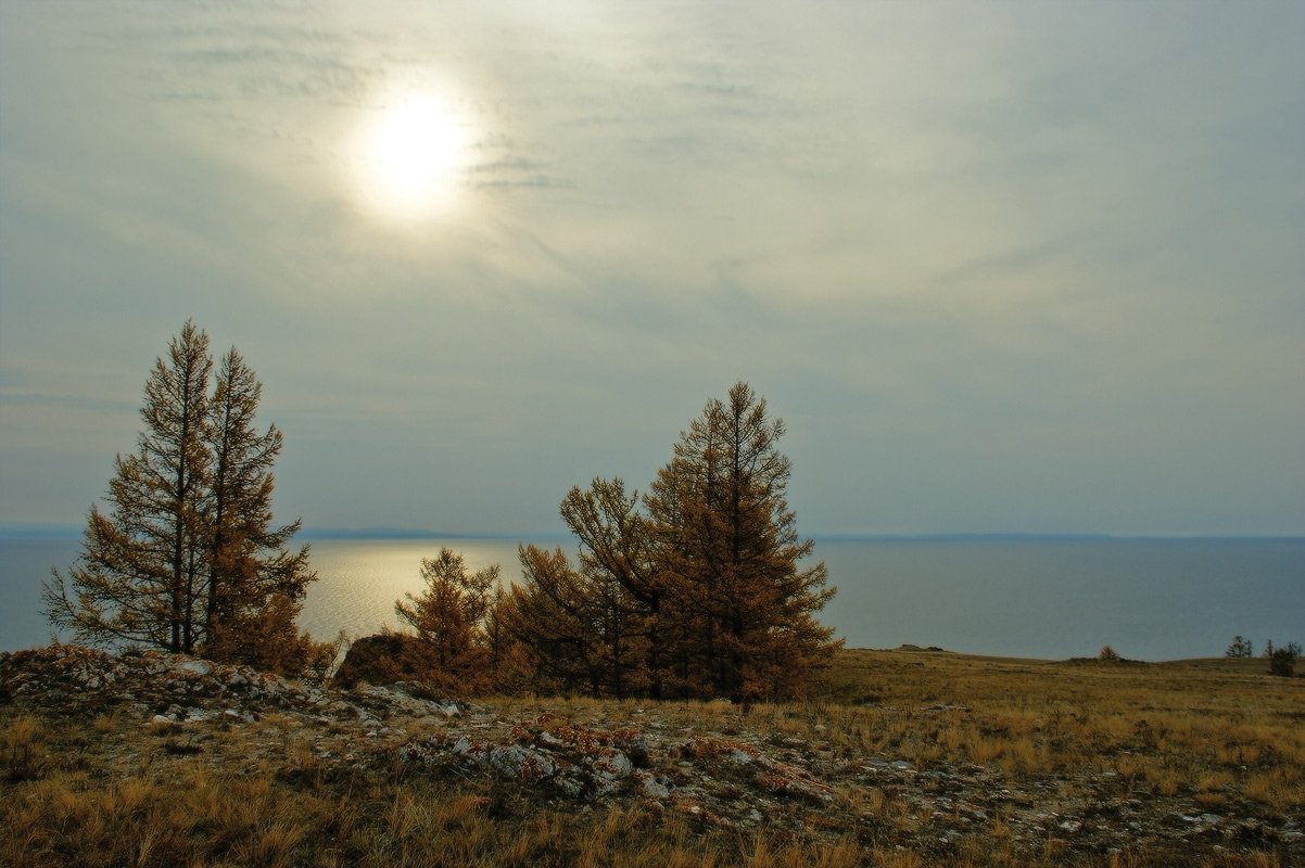 ��������.