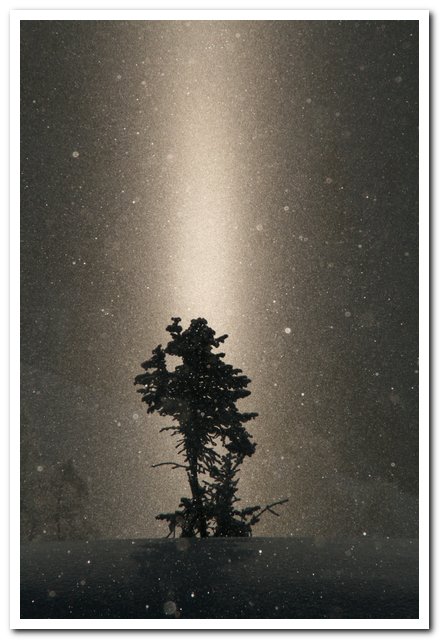 ������ �����.