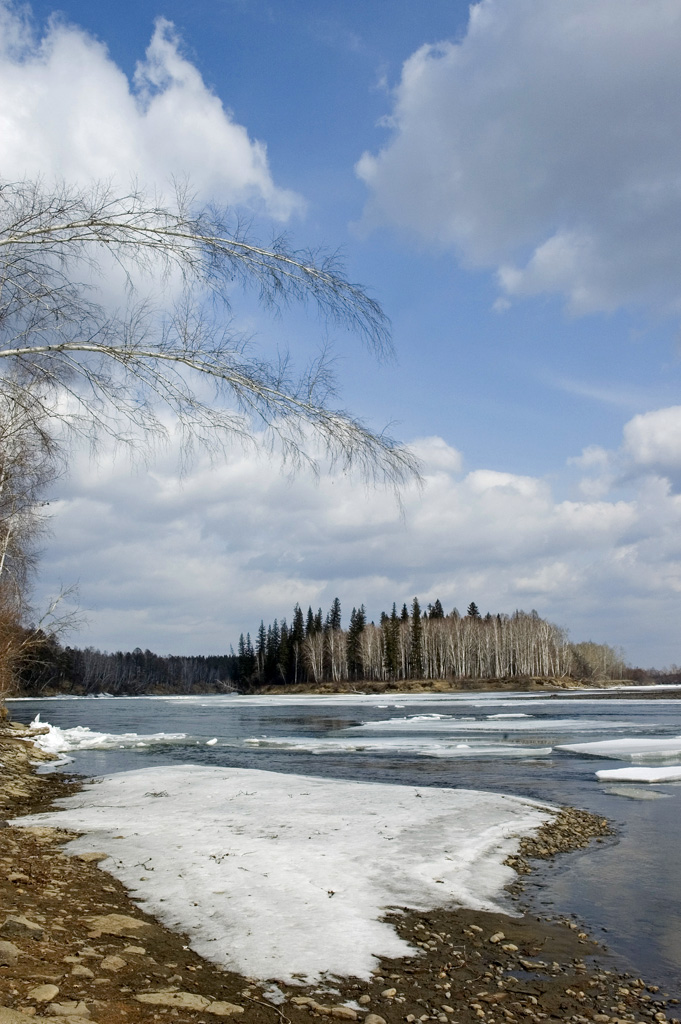 �������� ����������