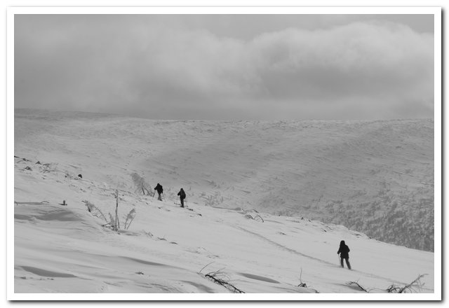 �� ���� � ������� 1771. �������� ������.