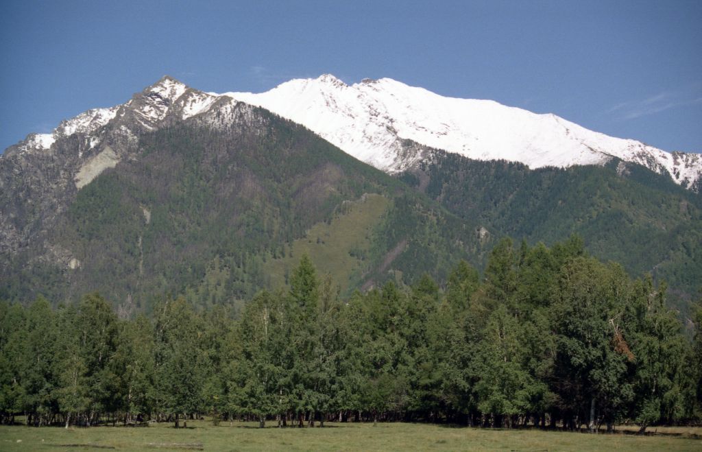 ��� �� ������ � ������ �� ������