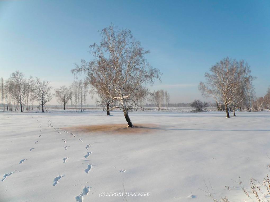 ����� �����, ������ ������ �������...