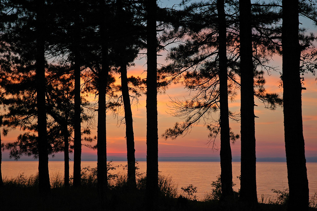 �������� ������ �����