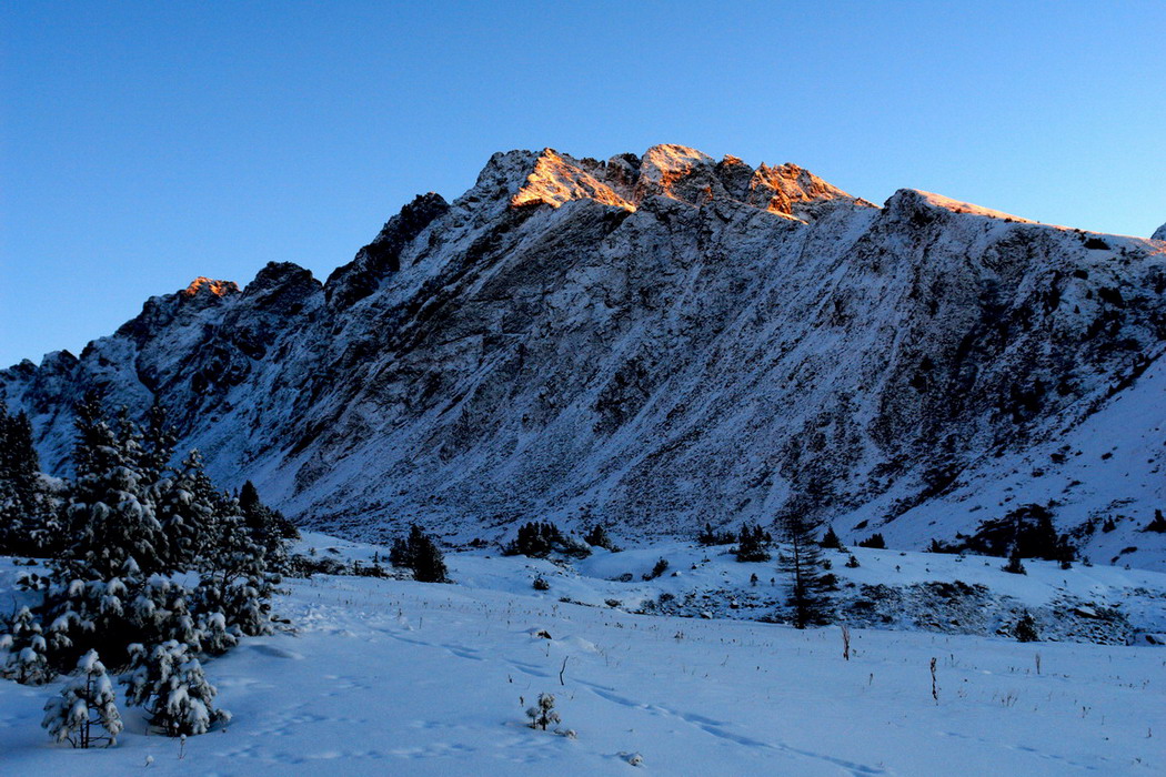 ������� � ������ ����� ������.