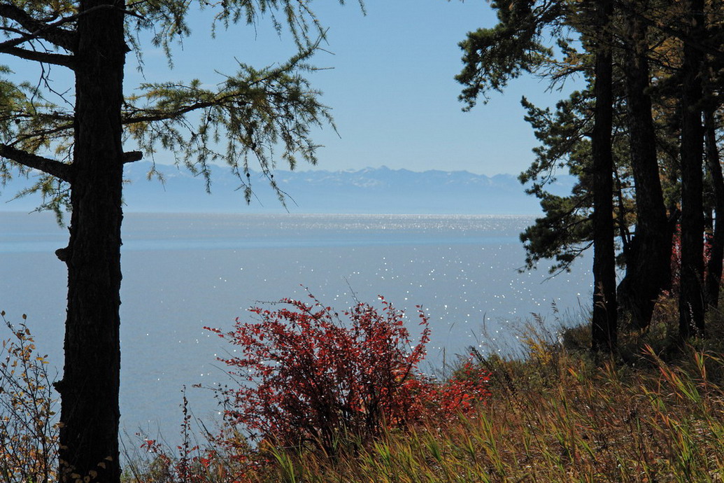 ����� �����.