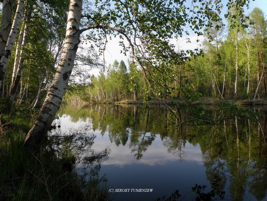 ...������ ����� "������ �����"