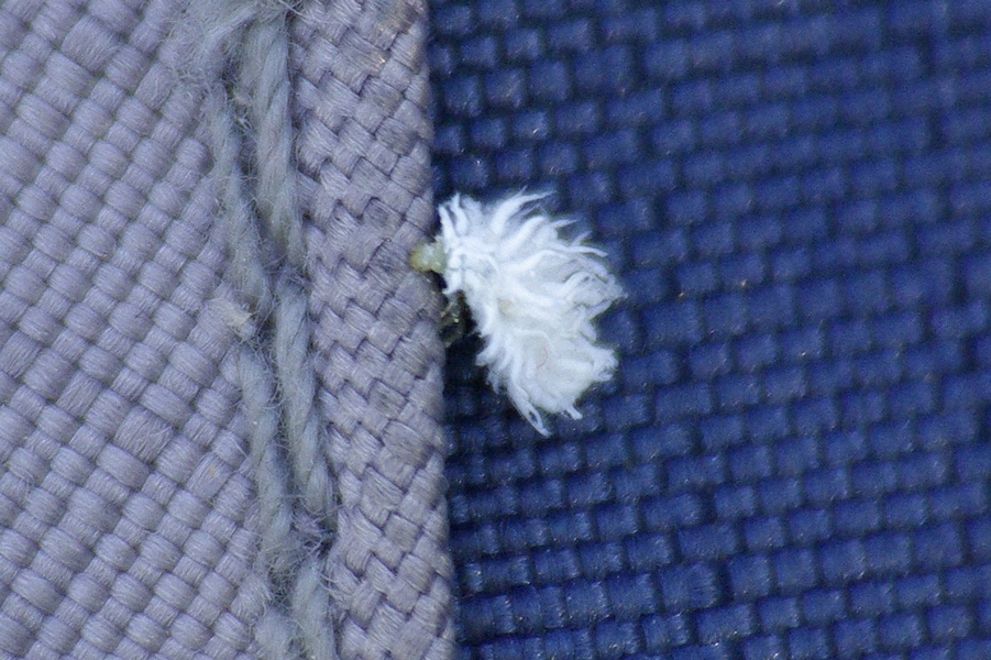    ? 2