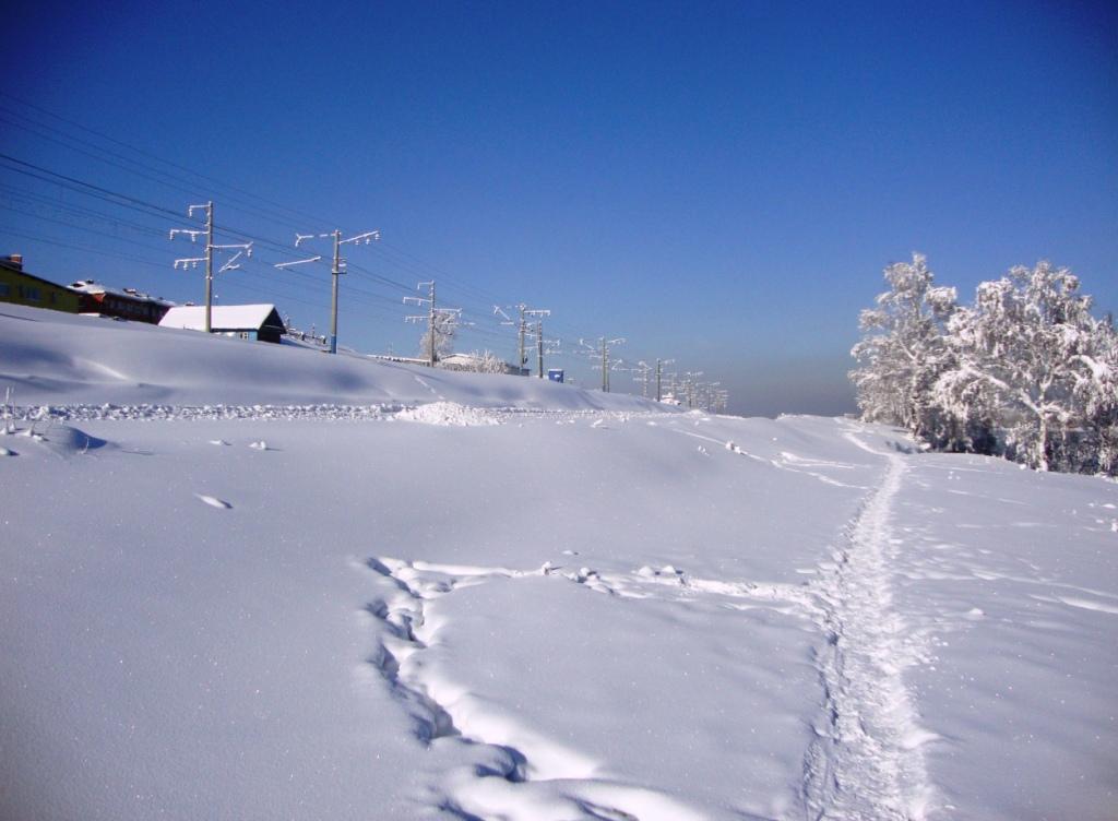 ��� ������� ����