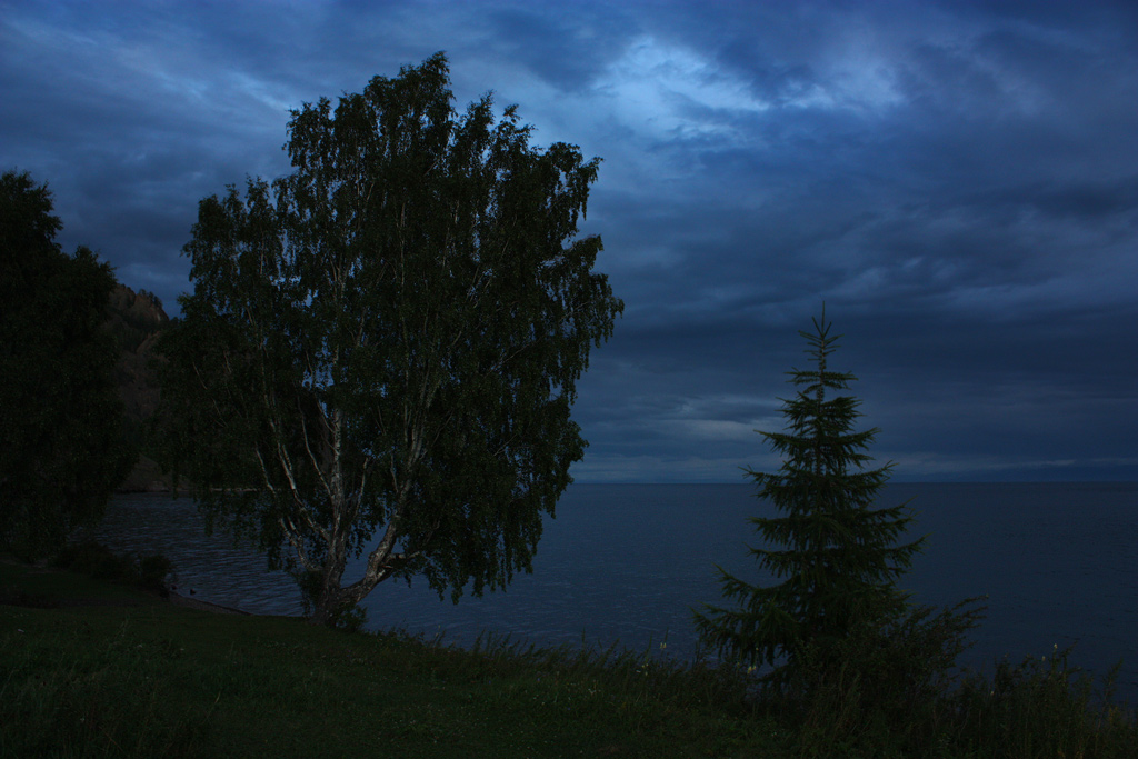 ������ ����.