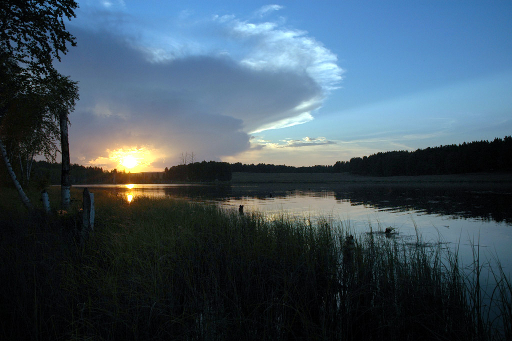 ����� ������