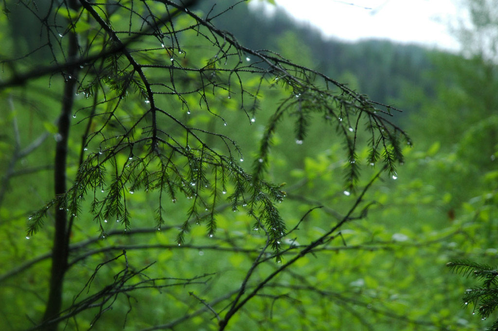 �� �����-������ ����� �����