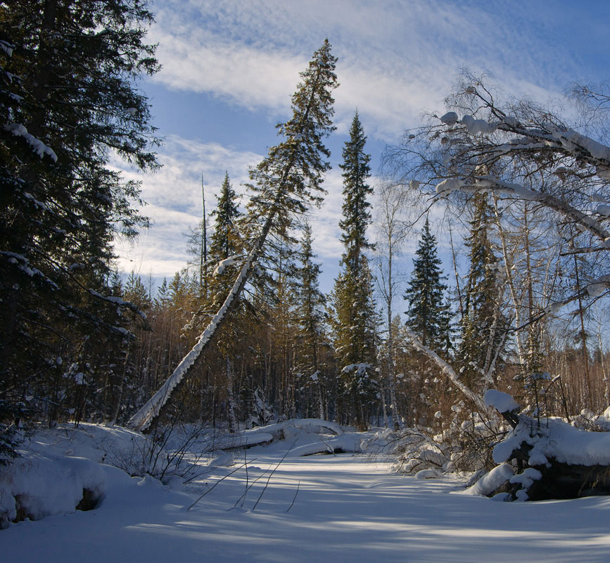 ���� �����